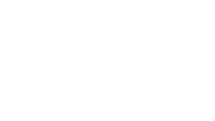 Voky AI